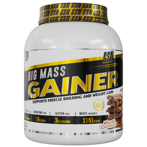 GSN - BIG MASS GAINER 1KG