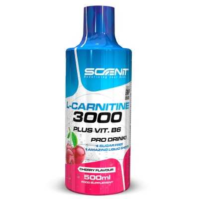 SCENIT - BEST GLUTAMINE 500G|119,900 TND|Glutamine|tunisie