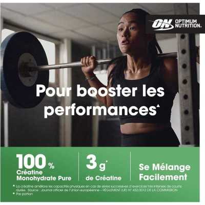 OPTIMUM NUTRITION- MICRONISED CREATINE 300G